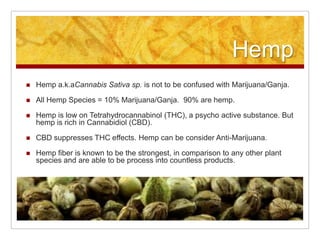 Hemp
   Hemp a.k.aCannabis Sativa sp. is not to be confused with Marijuana/Ganja.

   All Hemp Species = 10% Marijuana/Ganja. 90% are hemp.

   Hemp is low on Tetrahydrocannabinol (THC), a psycho active substance. But
    hemp is rich in Cannabidiol (CBD).

   CBD suppresses THC effects. Hemp can be consider Anti-Marijuana.

   Hemp fiber is known to be the strongest, in comparison to any other plant
    species and are able to be process into countless products.
 