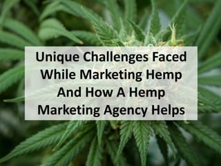 Unique Challenges Faced
While Marketing Hemp
And How A Hemp
Marketing Agency Helps
 