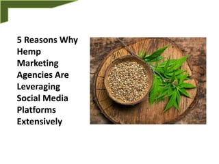 5 Reasons Why
Hemp
Marketing
Agencies Are
Leveraging
Social Media
Platforms
Extensively
 