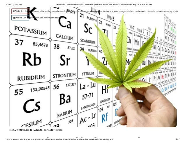 12/29/21, 8:10 AM Hemp and Cannabis Plants Can Clean Heavy Metals from the Soil, But Is All That Metal Ending Up in Your Weed?
https://cannabis.net/blog/news/hemp-and-cannabis-plants-can-clean-heavy-metals-from-the-soil-but-is-all-that-metal-ending-up-i 2/17
HEAVY METALS IN CANANBIS PLANT BUDS
d bi l l
 Edit Article (https://cannabis.net/mycannabis/c-blog-entry/update/hemp-and-cannabis-plants-can-clean-heavy-metals-from-the-soil-but-is-all-that-metal-ending-up-i)
 Article List (https://cannabis.net/mycannabis/c-blog)
 
