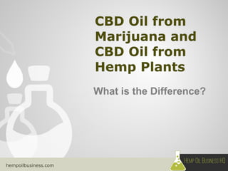 hempoilbusiness.com
What is the Difference?
 