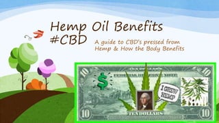 Hemp Oil Benefits
#CBD A guide to CBD’s pressed from
Hemp & How the Body Benefits
 
