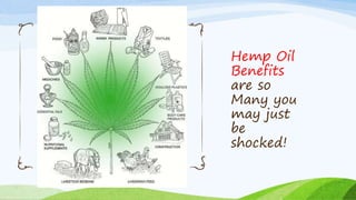 Hemp Oil
Benefits
are so
Many you
may just
be
shocked!
 
