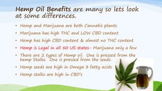 Hemp Oil Benefits are many so lets look
at some differences.
• Hemp and Marijuana are both Cannabis plants.
• Marijuana has high THC and LOW CBD content
• Hemp has high CBD content & almost no THC content
• Hemp is Legal in all 50 US states- Marijuana only a few
• There are 2 types of Hemp oil. One is pressed from the
hemp Stalks. One is pressed from the seeds.
• Hemp seeds are high in Omega 3 fatty acids
• Hemp stalks are high in CBD’s
 