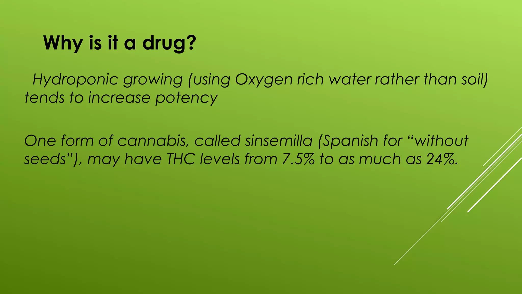 Why is it a drug?
Hydroponic growing (using Oxygen rich water rather than soil)
tends to increase potency
One form of cannabis, called sinsemilla (Spanish for “without
seeds”), may have THC levels from 7.5% to as much as 24%.
 