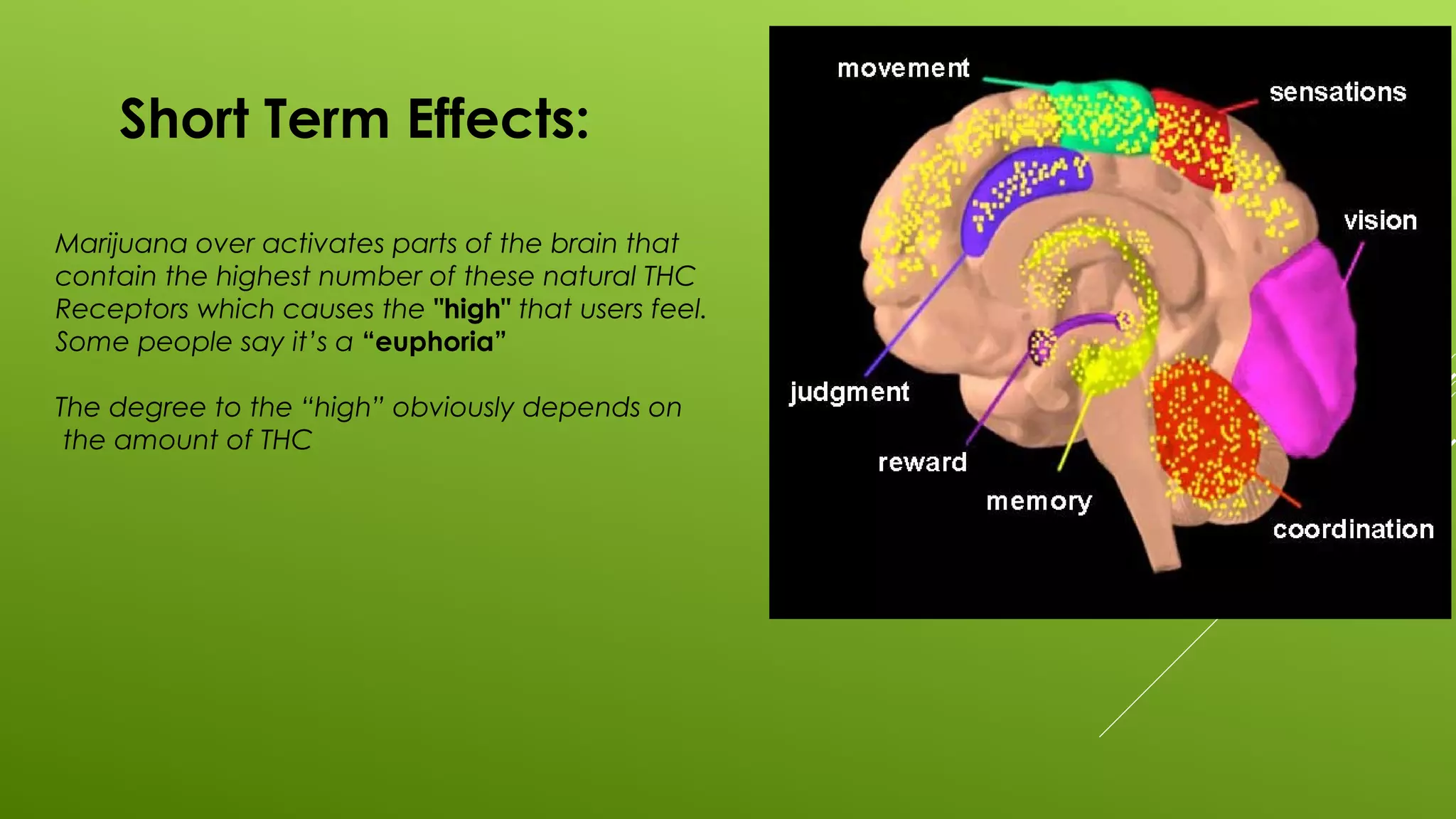 Short Term Effects:
Marijuana over activates parts of the brain that
contain the highest number of these natural THC
Receptors which causes the "high" that users feel.
Some people say it’s a “euphoria”
The degree to the “high” obviously depends on
the amount of THC
 