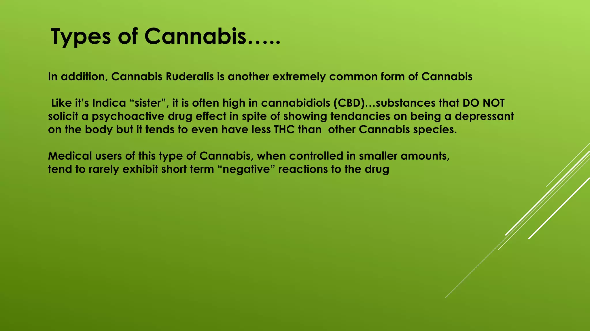 Types of Cannabis…..
In addition, Cannabis Ruderalis is another extremely common form of Cannabis
Like it’s Indica “sister”, it is often high in cannabidiols (CBD)…substances that DO NOT
solicit a psychoactive drug effect in spite of showing tendancies on being a depressant
on the body but it tends to even have less THC than other Cannabis species.
Medical users of this type of Cannabis, when controlled in smaller amounts,
tend to rarely exhibit short term “negative” reactions to the drug
 