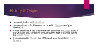 HEMP & SUNHEMP Cultivation | PPT