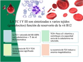 LA TC I Y III son sintetizadas x varios tejidos
(granulocitos) función de reservorio de la vit B12
La TCI = saturada del 80-100%
con cobalaminas = ↑ de vit
B12 plasmática

TCIII= Poca o 0 vitamina y
contribuye a la capacidad
seria de la cobalamina no
saturada.

La ausencia de TCI Y TCIII
tiene escaso significado
clínico

La ausencia de TCII induce a
anemia megaloblastica.

 