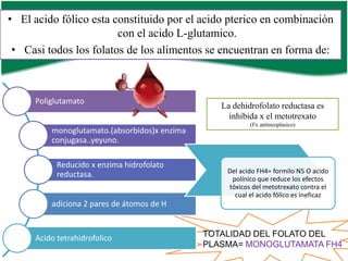 • El acido fólico esta constituido por el acido pterico en combinación
con el acido L-glutamico.
• Casi todos los folatos de los alimentos se encuentran en forma de:

Poliglutamato
monoglutamato.(absorbidos)x enzima
conjugasa..yeyuno.
Reducido x enzima hidrofolato
reductasa.

La dehidrofolato reductasa es
inhibida x el metotrexato
(Fx antineoplasico)

Del acido FH4= formilo N5 O acido
polínico que reduce los efectos
tóxicos del metotrexato contra el
cual el acido fólico es ineficaz

adiciona 2 pares de átomos de H

Acido tetrahidrofolico

TOTALIDAD DEL FOLATO DEL
PLASMA= MONOGLUTAMATA FH4

 