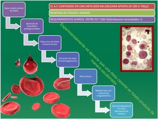 EL A.F. CONTENIDO EN UNA DIETA BIEN BALANCEADA APORTA DE 500 A 700µG

Bajos niveles séricos
de folato

RESERVAS DE FOLATO= HIGADO.
REQUERIMIENTOS DIARIOS ENTRE 50 Y 200 UG(embarazo necesidades +)
Aparición de
neutrófilos
polisegmentados

Reduccion de folato
intraeritrocitico

Excreción de acido
formiminoglutamico

Macrocitosis

Medula ósea con
maduración
megaloblastica

Anemia( después de
4 m de la
deprivacion de
folatos)

 