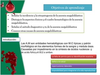 Objetivos de aprendizaje
• Señalar la incidencia y la etiopatogenia de la anemia megaloblastica
• Distinguir lis aspectos clínicos y el cuadro hematológico de la anemia
megaloblastica,
• Señalar el método diagnostico y tx de la anemia megaloblastica
• Conocer otras causas de anemia megaloblasticas
Introducción:
Las A.M son entidades hematológicas con M.C típicas y patrón
morfológico en los elementos formes de la sangre y medula ósea.
Causadas por impedimento en la síntesis de ácidos nucleicos ↓
de acido folico,vit B12 o ambas.
La falta de pericia para su identificación ocasiona

daños a la salud
repercusiones laborales
imposibilidad para integrarse a la vida reproductiva.

 