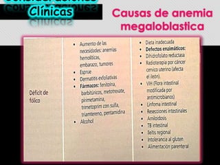 Consideraciones
Clínicas

Causas de anemia
megaloblastica

 