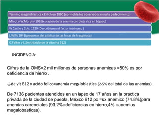 Termino megaloblastica x Erlich en 1880 (normoblastos observados en este padecimiento)
Minot y W.Morphy 1926(curación de la anemia con dieta rica en hígado)
W.Castle y Cols. 1929 (Describieron el factor intrinseco )
L.Wills 1941(precursor del a.folico de las hojas de la espinaca)
G.Falker y L.Smith(aislaron la vitmina B12)

INCIDENCIA:

Cifras de la OMS=2 mil millones de personas anemicas =50% es por
deficiencia de hierro .
↓de vit B12 y acido folico=anemia megaloblastica.(2-5% del total de las anemias).

De 7136 pacientes atendidos en un lapso de 17 años en la practica
privada de la ciudad de puebla, Mexico 612 px =sx anemico (74.8%)para
anemias carenciales (93.2%=deficiencias en hierro,4% =anemias
megalobasticas).

 