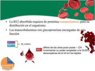 • La B12 absorbida requiere de proteínas transportadoras para su
distribución en el organismo.
• Las transcobalaminas son glucoproteínas encargadas de esta
función
TCI
TCIII

PLASMA
TCII

TCII

VIT B12

difiere de las otras pues posee – CH.
incrementar su poder acoplador a la Vit B12.
desacoplarse de la Vit en los tejidos

 