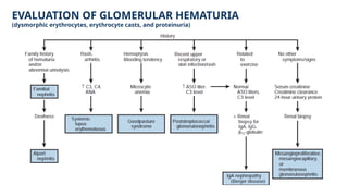 HEMTURIA-MM untuk bahan belajar sehari-hari .pptx