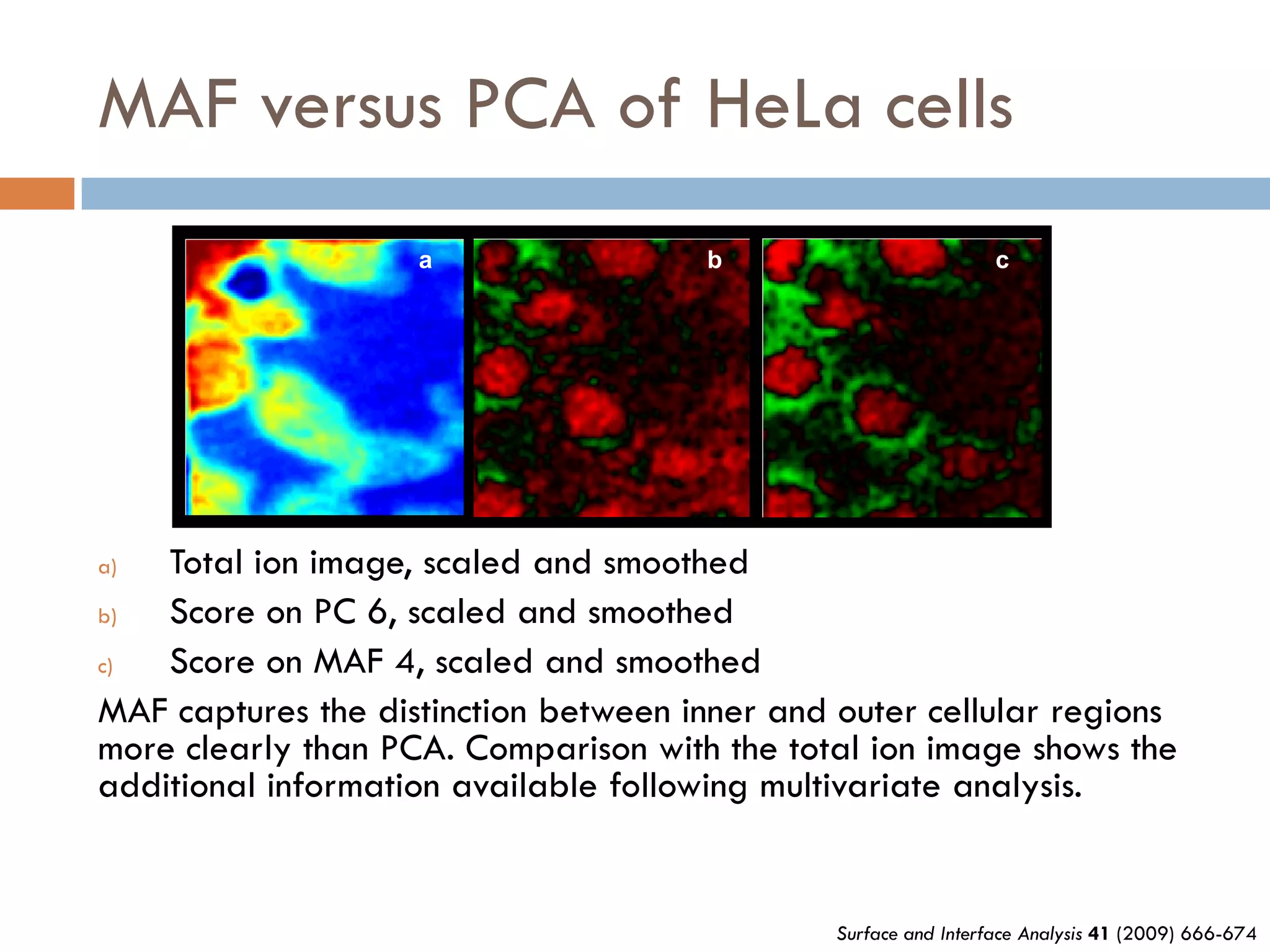 MAF versus PCA of HeLa cells
                    a                 b                          c




a)  Total ion image, scaled and smoothed
b)  Score on PC 6, scaled and smoothed
c)  Score on MAF 4, scaled and smoothed
MAF captures the distinction between inner and outer cellular regions
more clearly than PCA. Comparison with the total ion image shows the
additional information available following multivariate analysis.


                                               Surface and Interface Analysis 41 (2009) 666-674
 