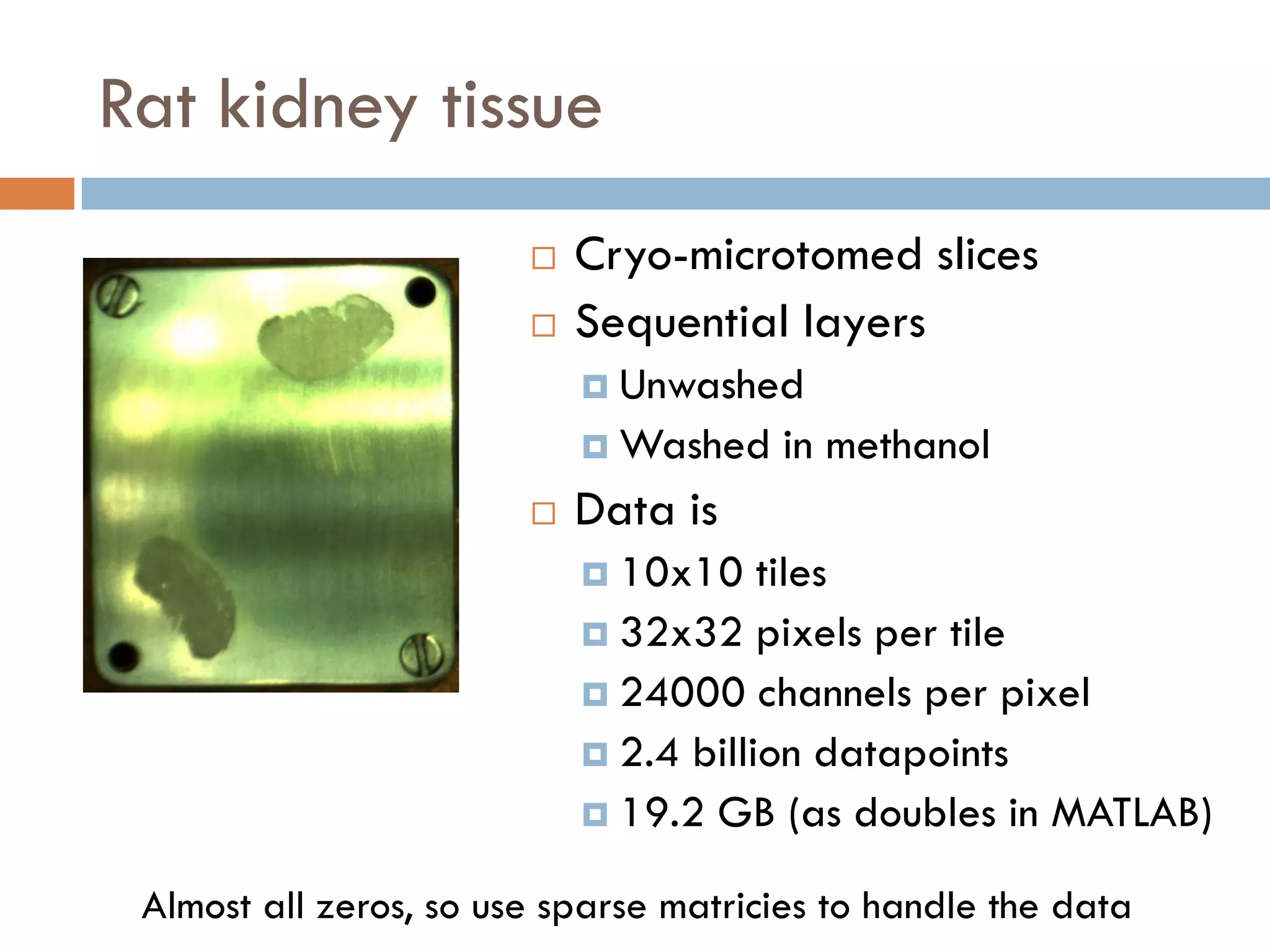 Rat kidney tissue
                           Cryo-microtomed slices
                           Sequential layers
                             Unwashed
                             Washed   in methanol
                           Data is
                             10x10    tiles
                             32x32 pixels per tile
                             24000 channels per pixel
                             2.4 billion datapoints
                             19.2 GB (as doubles in MATLAB)

 Almost all zeros, so use sparse matricies to handle the data
 