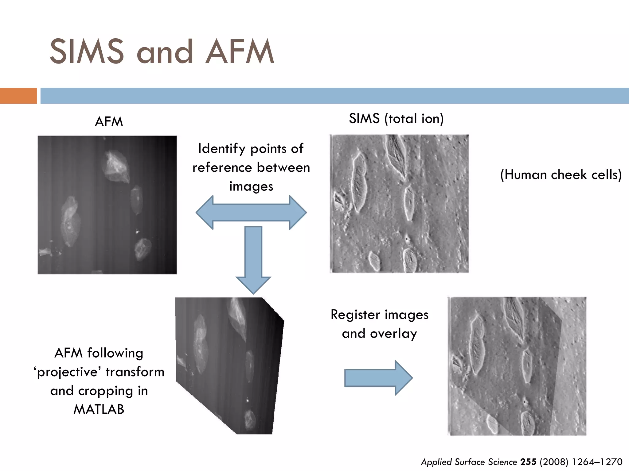 SIMS and AFM
          AFM                                    SIMS (total ion)
                          Identify points of
                         reference between                                    (Human cheek cells)
                               images




                                               Register images
                                                and overlay
    AFM following
‘projective’ transform
   and cropping in
       MATLAB


                                                             Applied Surface Science 255 (2008) 1264–1270
 