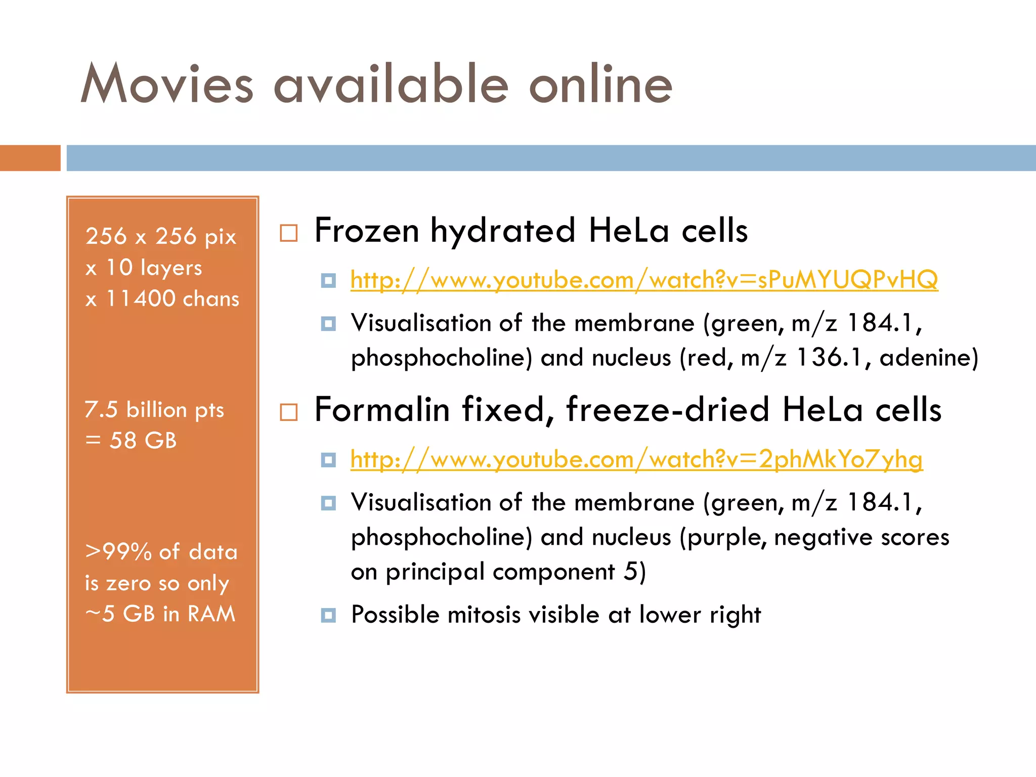 Movies available online

256 x 256 pix        Frozen hydrated HeLa cells
x 10 layers              http://www.youtube.com/watch?v=sPuMYUQPvHQ
x 11400 chans
                         Visualisation of the membrane (green, m/z 184.1,
                          phosphocholine) and nucleus (red, m/z 136.1, adenine)
7.5 billion pts      Formalin fixed, freeze-dried HeLa cells
= 58 GB
                         http://www.youtube.com/watch?v=2phMkYo7yhg
                         Visualisation of the membrane (green, m/z 184.1,
>99% of data
                          phosphocholine) and nucleus (purple, negative scores
is zero so only           on principal component 5)
~5 GB in RAM             Possible mitosis visible at lower right
 