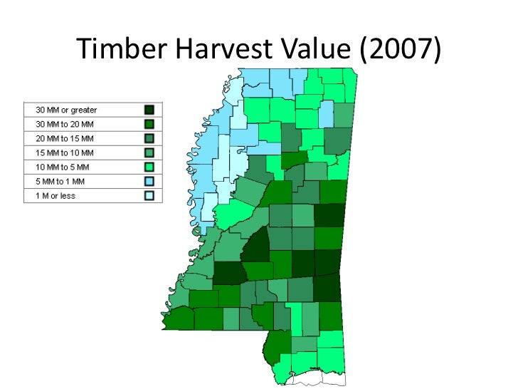 Economic Impact of Mississippi’s Forest Resources