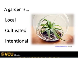 A garden is…
Local
Cultivated
Intentional
Air Plant Globe Terrarium 2 by cierah
 