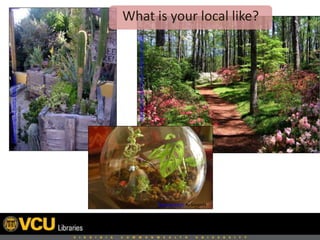 CactusGardenatKnott'sBerryFarmsby
dailyorganizedchaos
HappyEasterfromGeorgia'sCallawayGardens!by
ugardener
final terrarium by bangada
What is your local like?