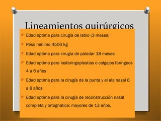Lineamientos quirúrgicos
O Edad optima para cirugía de labio (3 meses)
O Peso mínimo 4500 kg
O Edad optima para cirugía de paladar 18 meses
O Edad optima para lasfaringoplastias o colgajos faríngeos
4 a 6 años
O Edad optima para la cirugía de la punta y el ala nasal 6
a 8 años
O Edad optima para la cirugía de reconstrucción nasal
completa y ortognatica: mayores de 13 años.
 