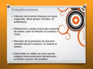 Hendidura labial leip