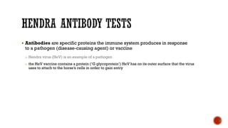 Hendra antibody tests
