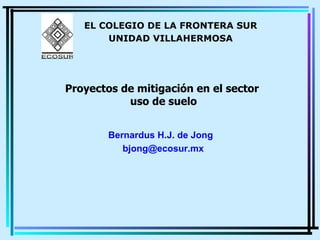 Proyectos de mitigación en el sector  uso de suelo Bernardus H.J. de Jong [email_address] EL COLEGIO DE LA FRONTERA SUR UNIDAD VILLAHERMOSA 