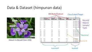 Netlytics Text Visualization Visualisasi Data Kualitatif dengan Netlytics | PDF