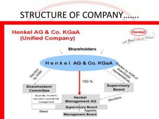STRUCTURE OF COMPANY…….