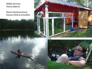 Mökki-ihminen
Homo taberna
Kasvin kasvihuoneessa
Kasvaa chiliä ja tomaattia
 