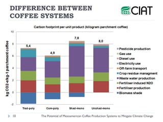 Henk van Rikxoort - The Potential of Mesoamerican Coffee Production Systems to Mitigate Climate Change