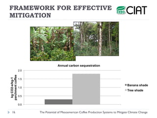 Henk van Rikxoort - The Potential of Mesoamerican Coffee Production Systems to Mitigate Climate Change