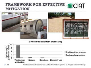 Henk van Rikxoort - The Potential of Mesoamerican Coffee Production Systems to Mitigate Climate Change