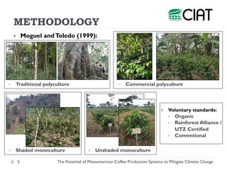 Henk van Rikxoort - The Potential of Mesoamerican Coffee Production Systems to Mitigate Climate Change