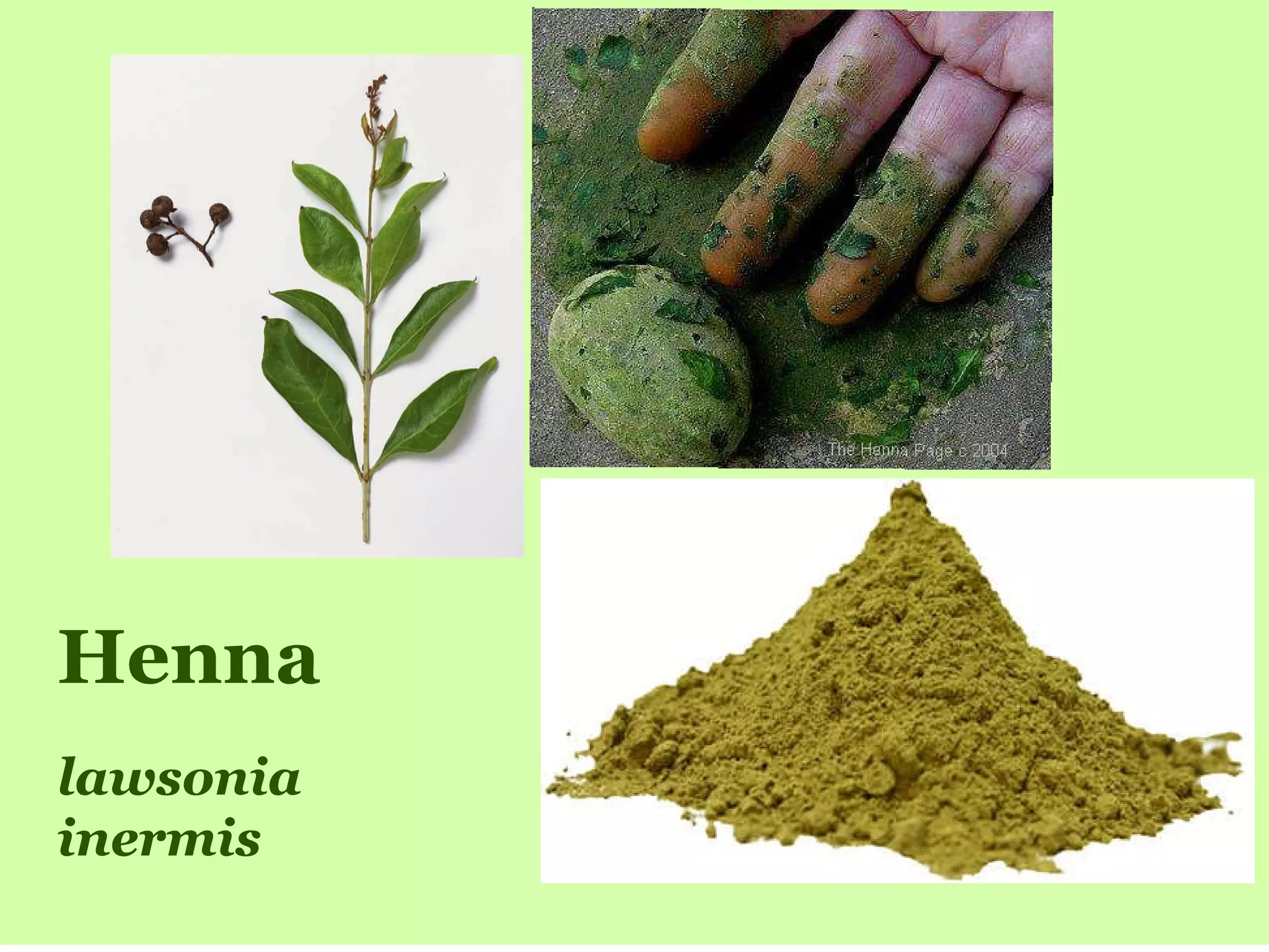 henna presentation | PPT