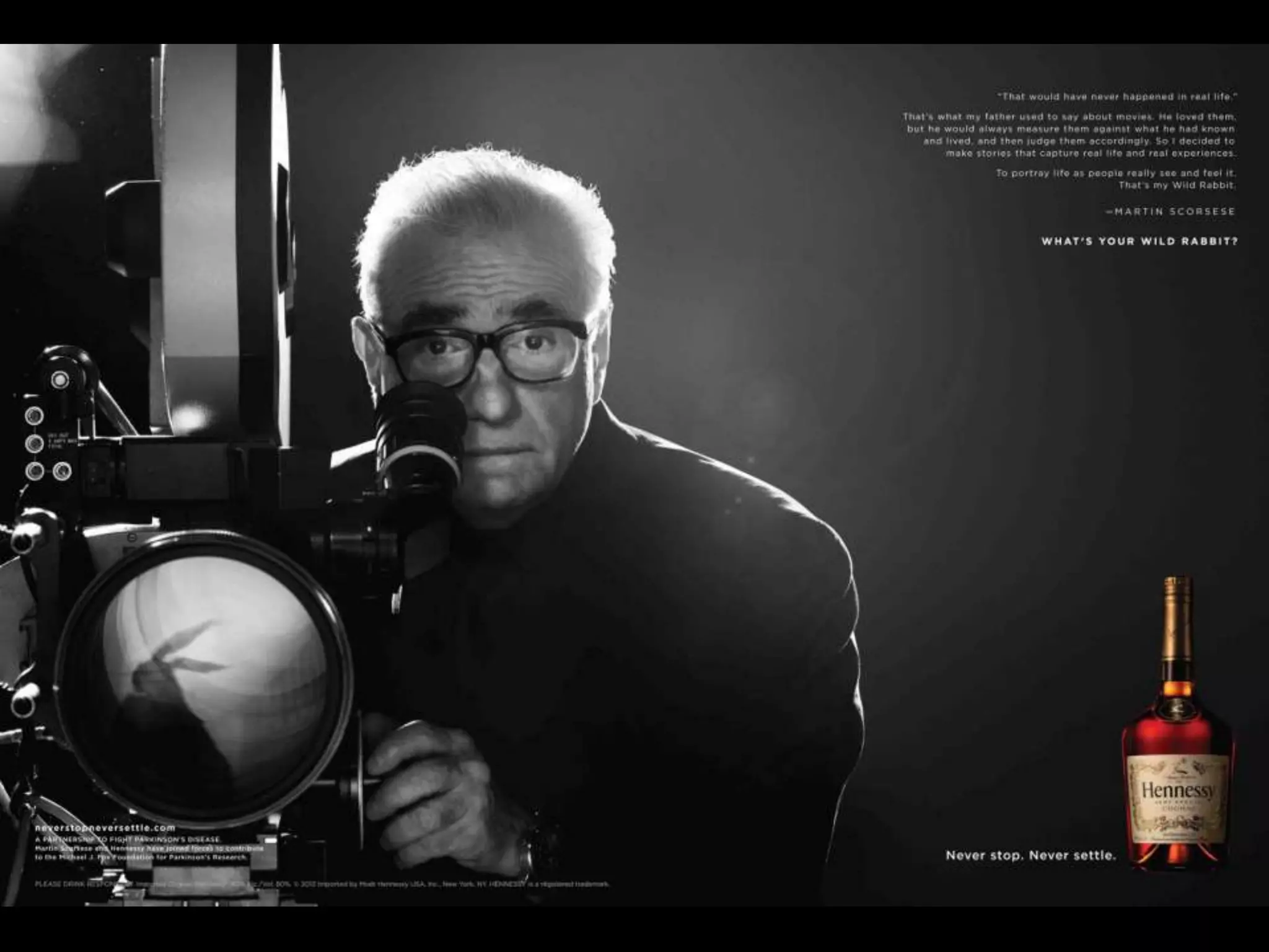 “To portray life as people really
see and feel it. That’s my wild
rabbit” - Martin Scorsese
 