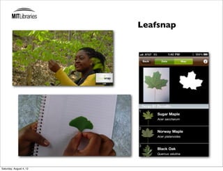 Leafsnap




Saturday, August 4, 12
 