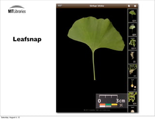 Leafsnap




Saturday, August 4, 12
 