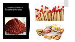 ¿ En dónde podemos
encontar el fósforo?
 