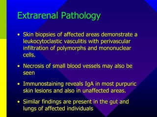 Extrarenal Pathology Skin biopsies of affected areas demonstrate a leukocytoclastic vasculitis with perivascular infiltration of polymorphs and mononuclear cells. Necrosis of small blood vessels may also be seen Immunostaining reveals IgA in most purpuric skin lesions and also in unaffected areas. Similar findings are present in the gut and lungs of affected individuals 