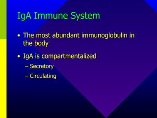 IgA Immune System The most abundant immunoglobulin in the body IgA is compartmentalized Secretory Circulating 