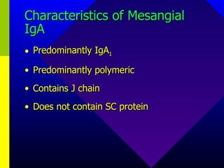 Characteristics of Mesangial IgA Predominantly IgA 1 Predominantly polymeric Contains J chain Does not contain SC protein 