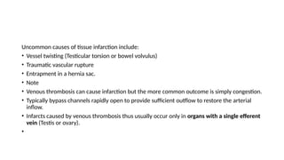 Uncommon causes of tissue infarction include:
• Vessel twisting (Testicular torsion or bowel volvulus)
• Traumatic vascular rupture
• Entrapment in a hernia sac.
• Note
• Venous thrombosis can cause infarction but the more common outcome is simply congestion.
• Typically bypass channels rapidly open to provide sufficient outflow to restore the arterial
inflow.
• Infarcts caused by venous thrombosis thus usually occur only in organs with a single efferent
vein (Testis or ovary).
•
 
