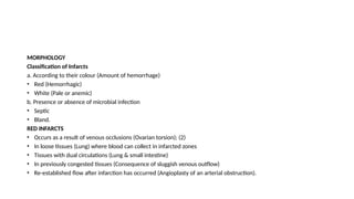 MORPHOLOGY
Classification of Infarcts
a. According to their colour (Amount of hemorrhage)
• Red (Hemorrhagic)
• White (Pale or anemic)
b. Presence or absence of microbial infection
• Septic
• Bland.
RED INFARCTS
• Occurs as a result of venous occlusions (Ovarian torsion); (2)
• In loose tissues (Lung) where blood can collect in infarcted zones
• Tissues with dual circulations (Lung & small intestine)
• In previously congested tissues (Consequence of sluggish venous outflow)
• Re-established flow after infarction has occurred (Angioplasty of an arterial obstruction).
 