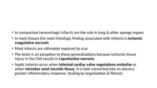 • In comparison hemorrhagic infarcts are the rule in lung & other spongy organs
• In most tissues the main histologic finding associated with infarcts is ischemic
coagulative necrosis
• Most infarcts are ultimately replaced by scar
• The brain is an exception to these generalizations because ischemic tissue
injury in the CNS results in Liquefactive necrosis.
• Septic infarcts occur when infected cardiac valve vegetations embolize or
when microbes seed necrotic tissue. It is later converted into an abscess,
greater inflammatory response, healing by organization & fibrosis.
 
