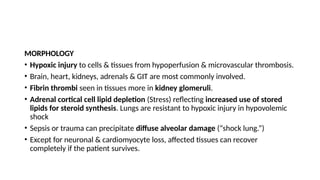 MORPHOLOGY
• Hypoxic injury to cells & tissues from hypoperfusion & microvascular thrombosis.
• Brain, heart, kidneys, adrenals & GIT are most commonly involved.
• Fibrin thrombi seen in tissues more in kidney glomeruli.
• Adrenal cortical cell lipid depletion (Stress) reflecting increased use of stored
lipids for steroid synthesis. Lungs are resistant to hypoxic injury in hypovolemic
shock
• Sepsis or trauma can precipitate diffuse alveolar damage (“shock lung.”)
• Except for neuronal & cardiomyocyte loss, affected tissues can recover
completely if the patient survives.
 